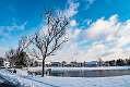 14: 01-07 Snowy Bench