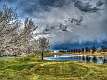 4: 03-26 Blossoms And Clearing Storm Clouds