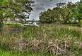 15: 04-16 Salt Marsh In Murrells Inlet