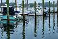 50: 06-03 Shark River Marina Reflection