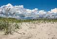 2: 07-31 Beach Grass And Clouds