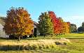 16: 10-25 Fall Foliage On Renaissance Golf Course