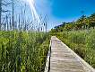 5: 07-01 Cattus Island Boardwalk