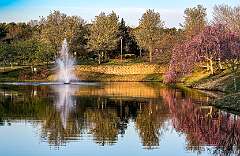 1: 04-01 Early Morning Clubhouse Pond