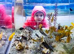 16: 04-12 Maeve In The Fish Tank