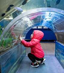 17: 04-12 Maeve In The Fish Tunnel