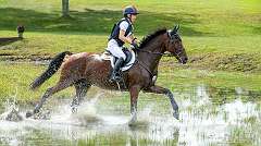 33: HorseParkNJ_2025-23