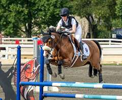 14: HorseParkNJ_2025-9