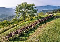 8: Weaverville2025--16