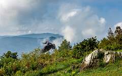 40: Weaverville2025--17