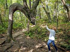 66: Weaverville2025--18