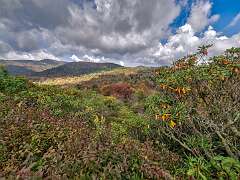 30: Weaverville2025--22