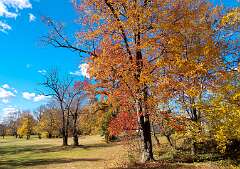 9: 11-06 Fall Foliage At Rancocas Golf Club