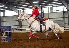 26: HorseParkNJ_2025-104