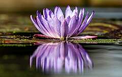 28: Murrells_2025-370