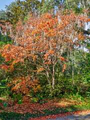 32: Murrells_2025-377