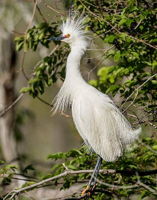 35: Murrells_2025-157