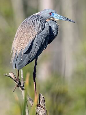 37: Murrells_2025-159