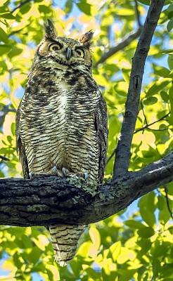 40: Murrells_2025-162