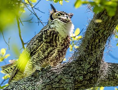 41: Murrells_2025-163