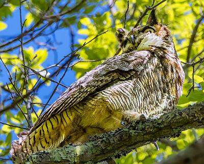 42: Murrells_2025-164