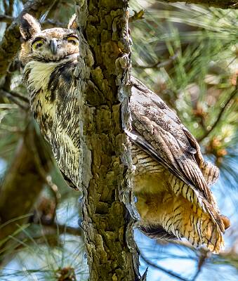 43: Murrells_2025-165