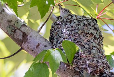 2: Murrells_2025-167