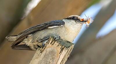 4: Murrells_2025-169