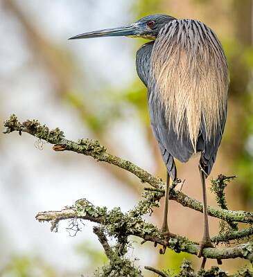 19: Murrells_2025-184