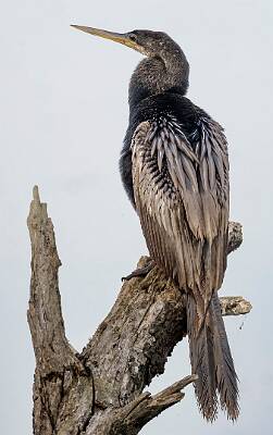 21: Murrells_2025-186