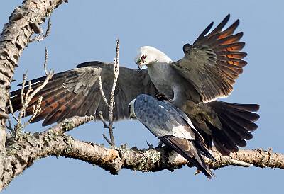 23: Murrells_2025-188