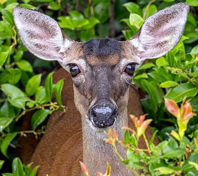 13: Murrells_2025-201