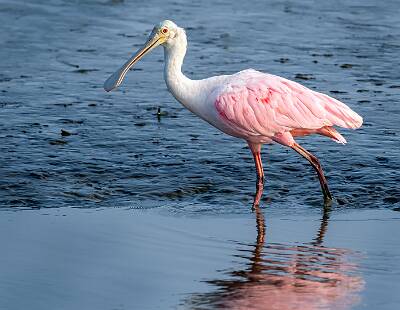 16: Murrells_2025-204