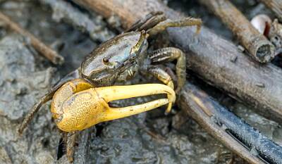 19: Murrells_2025-207