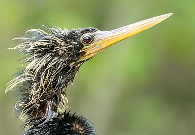 20: Murrells_2025-208