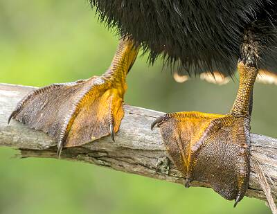 21: Murrells_2025-209