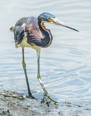 24: Murrells_2025-212