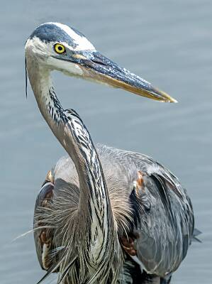 25: Murrells_2025-213