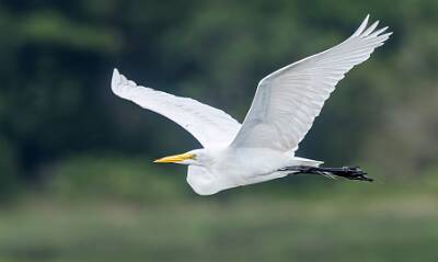 27: Murrells_2025-215