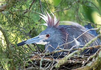 46: Murrells_2025-236