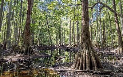 64: Murrells_2025-258