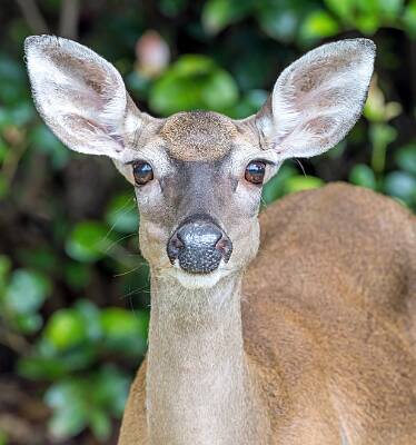 65: Murrells_2025-259