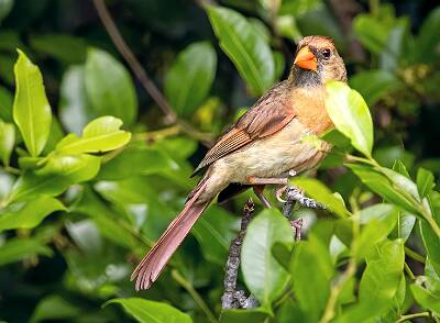 70: Murrells_2025-266