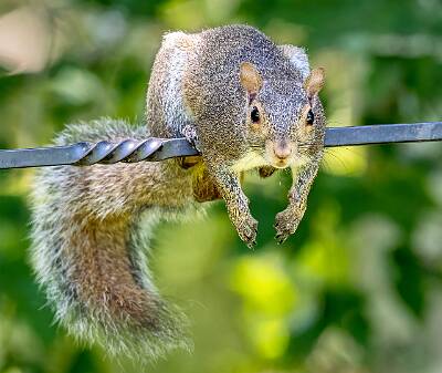 4: Murrells_2025-272