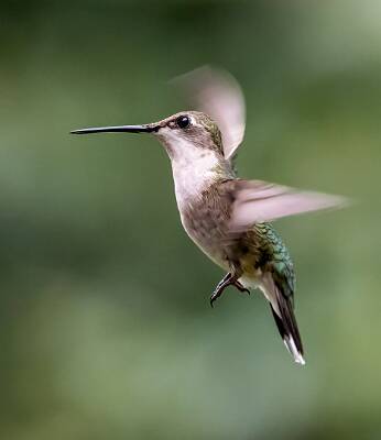 18: Murrells_2025-277