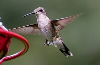 21: Murrells_2025-280