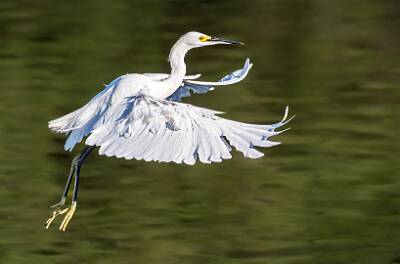 25: Murrells_2025-284