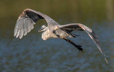 29: Murrells_2025-288