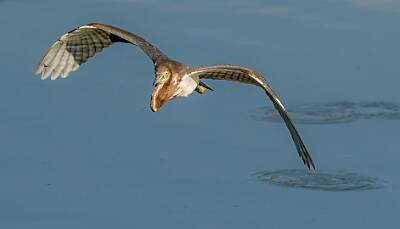 1: Murrells_2025-289