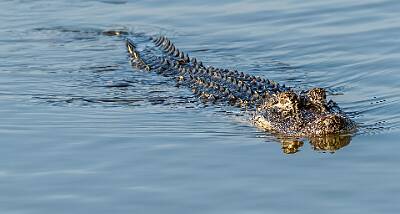 3: Murrells_2025-291